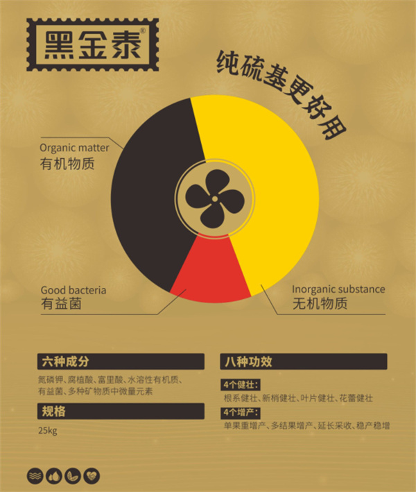 黑金泰1.jpg
