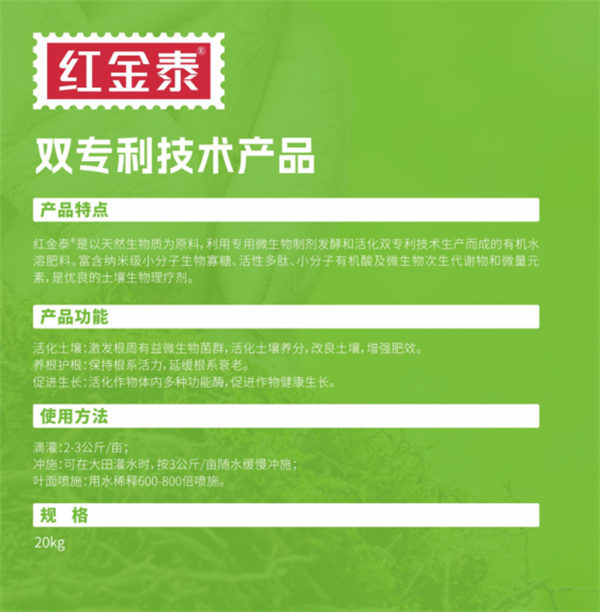 红金泰1.jpg